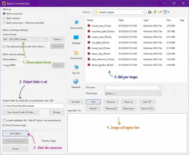 IrfanView batch conversion window with settings, file lists, and output options to convert images.