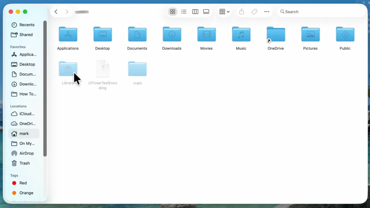 Hidden files shown on mac including libraray folder.