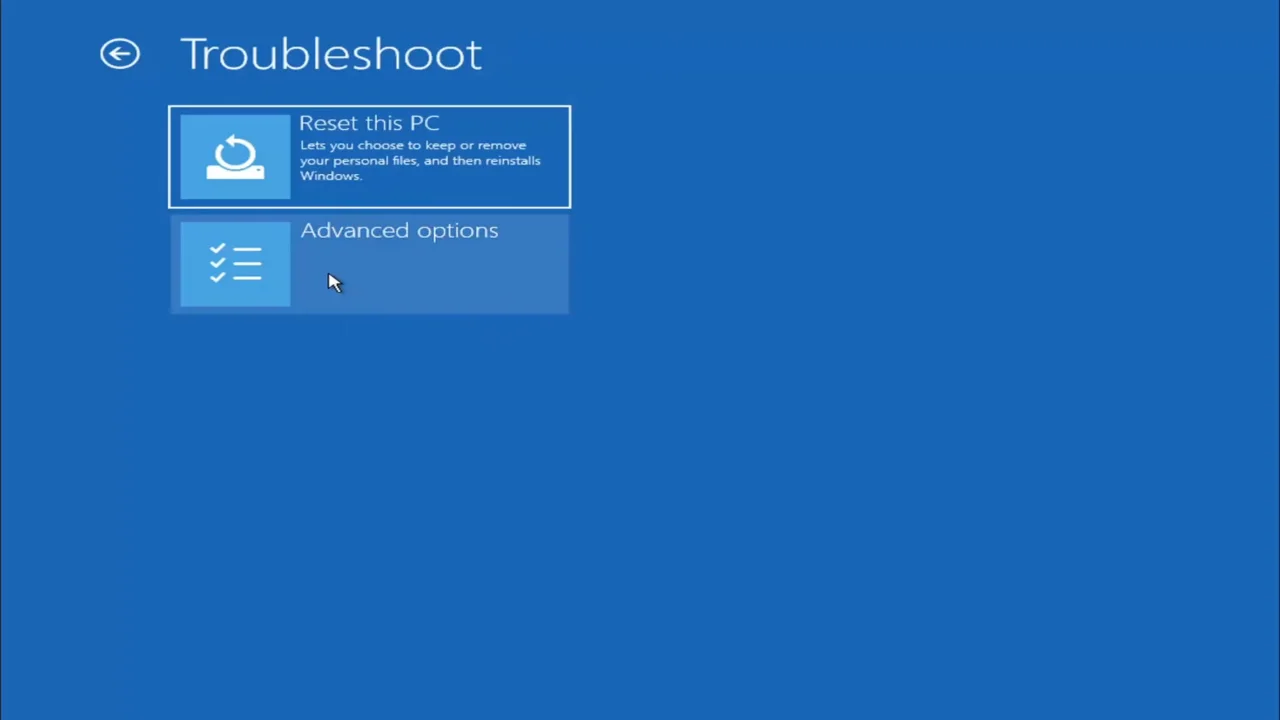 Advanced options button in Windows 11 boot.