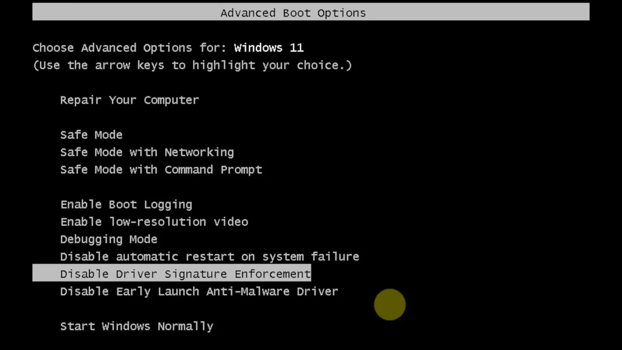 Disable DSE selected on Advanced Boot Options screen on Windows 11.