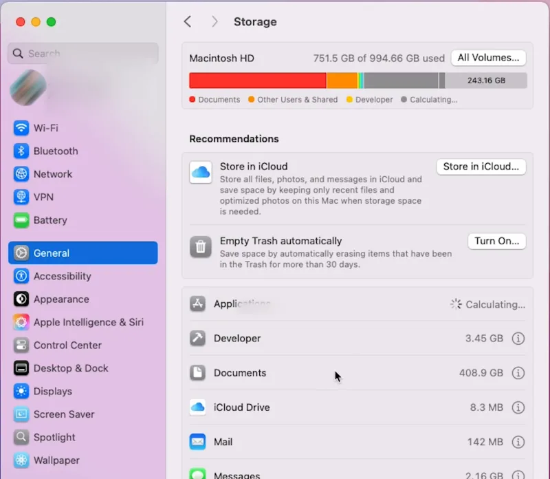 Storage screen with space overview shown on Mac.